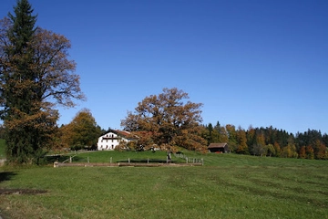 Albert-Schweitzer-Waldkindergarten Bad Tölz und Wackersberg