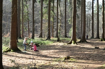 AWO Waldkindergarten Harburg