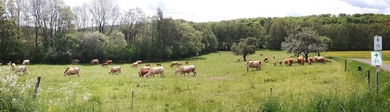 Kindertagesstätte Kallenbachtal