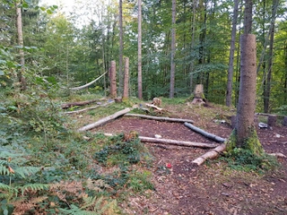 Kramuckel Waldkindergarten e.V.