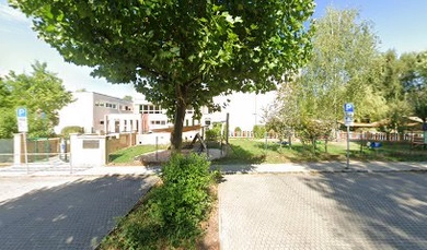 Pusteblume Kindergarten