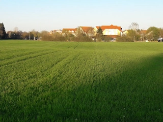 St. Elisabeth