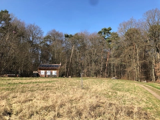 Wald-Kita „Die bunten Vielfalter“ SenseAbilityAcademy