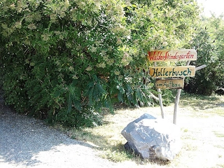 Waldorfkindergarten Hollerbusch